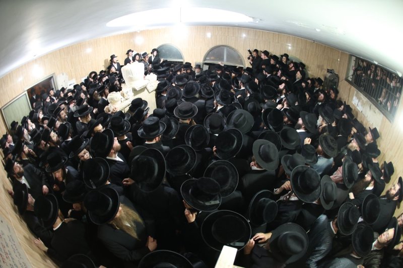 דוד ארזני וארי קופרשטוק