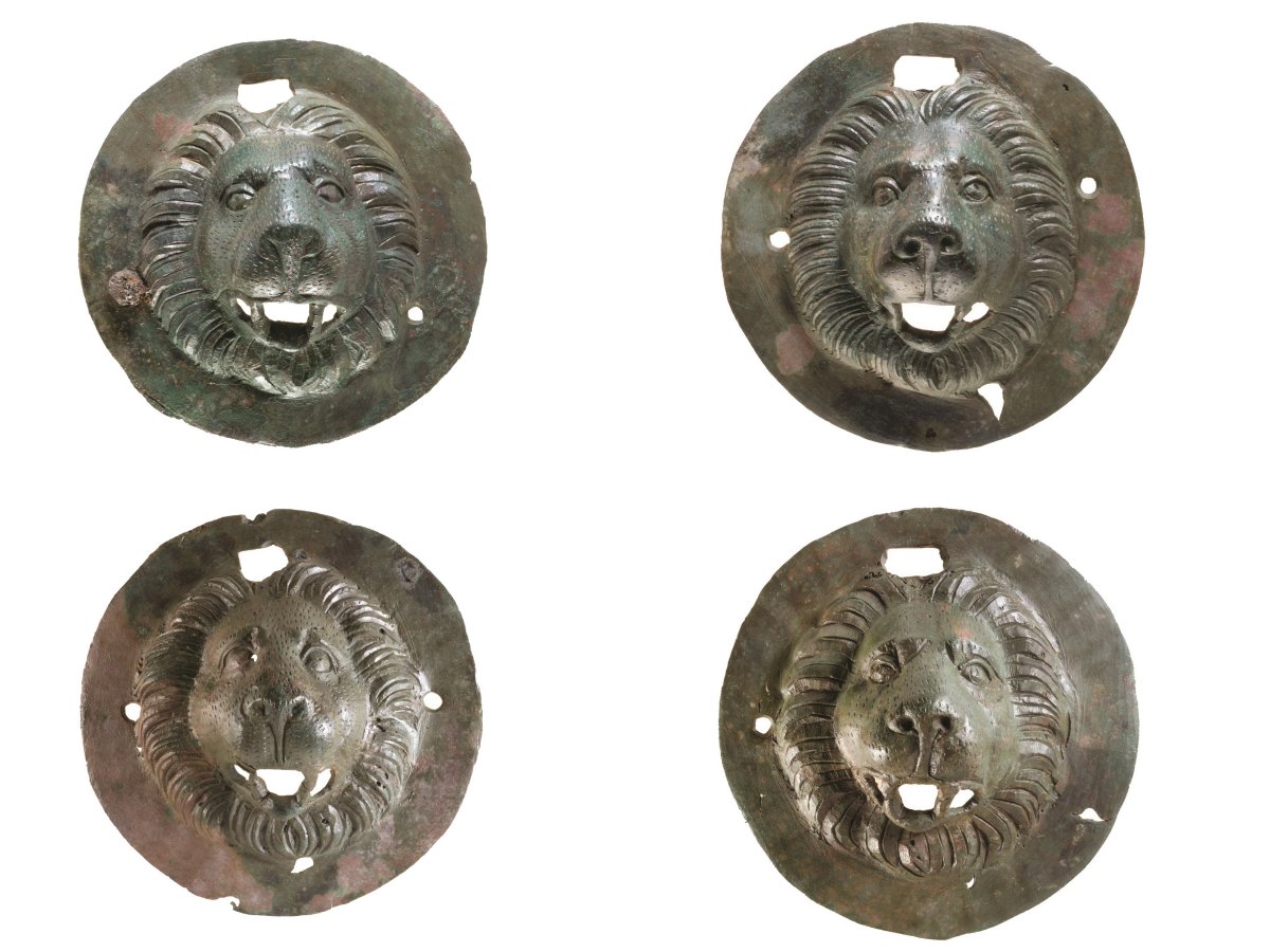 דפנה גזית, רשות העתיקות