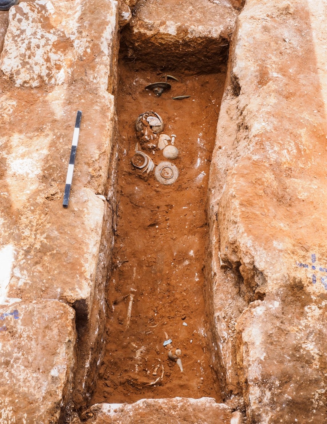 אסף פרץ, רשות העתיקות