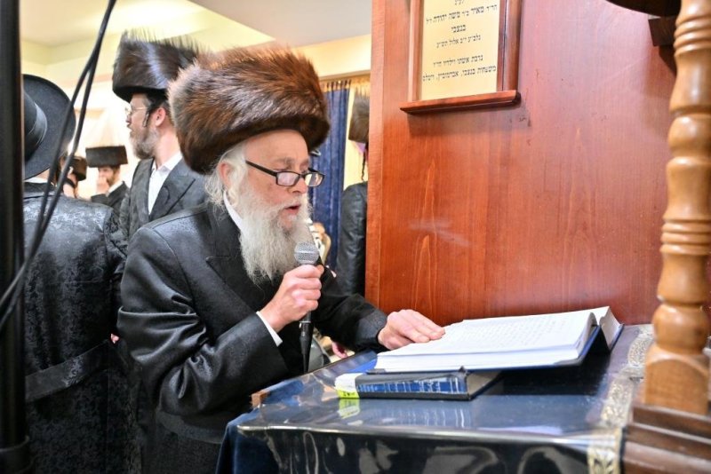 יהושע פרוכטר