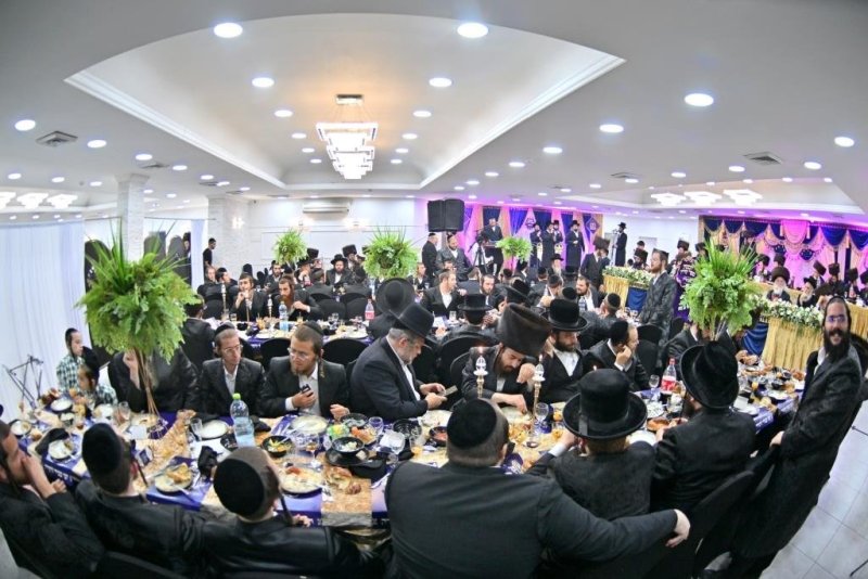 יהושע פרוכטר