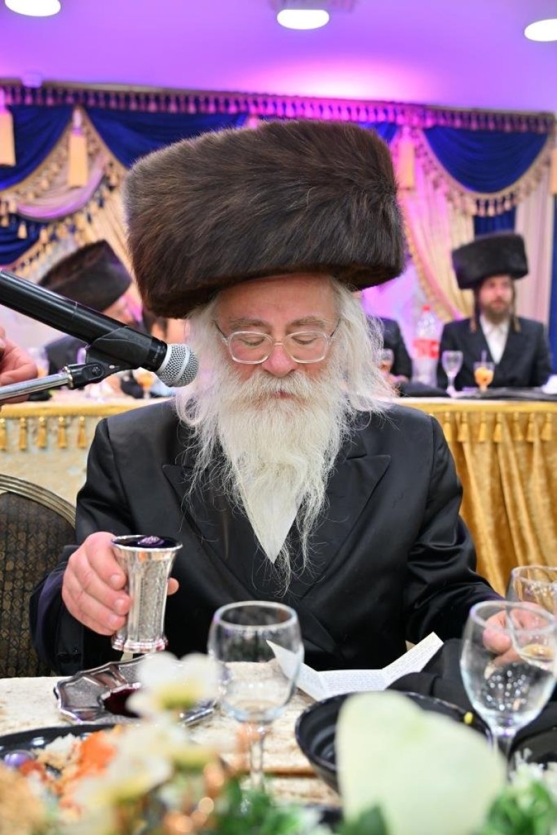 יהושע פרוכטר