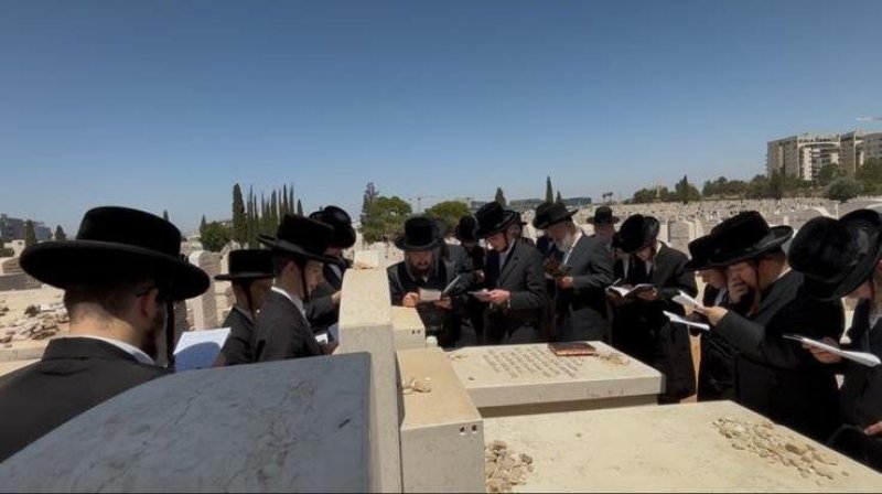 שלומי טריכטר