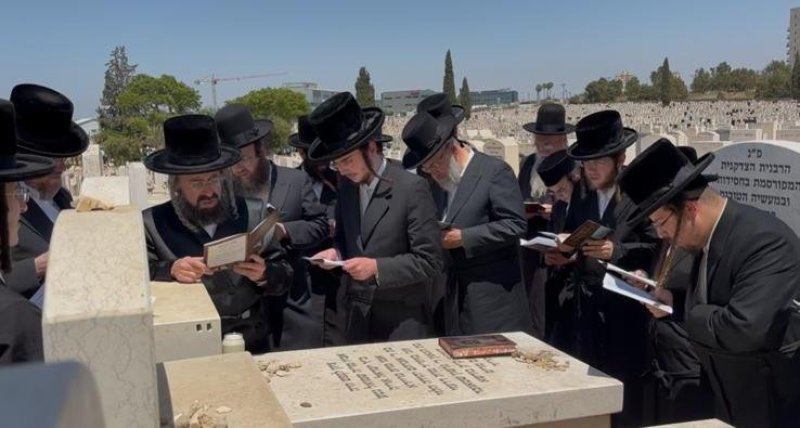 שלומי טריכטר