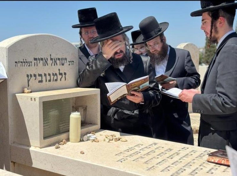 שלומי טריכטר