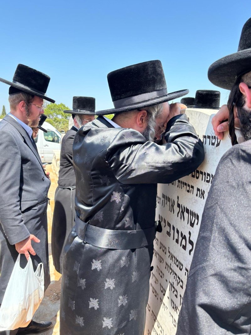 שלומי טריכטר