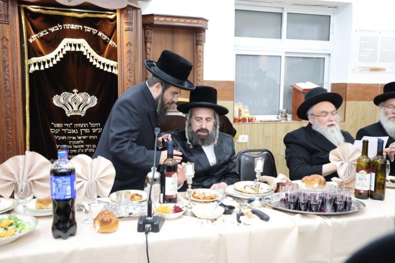 שלומי טריכטר