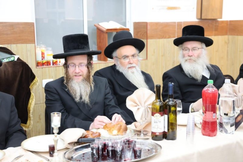 שלומי טריכטר