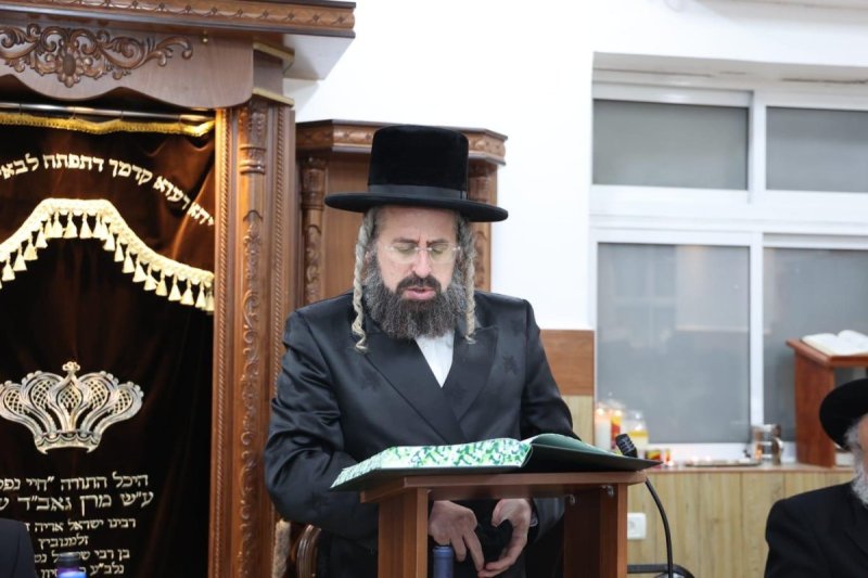 שלומי טריכטר