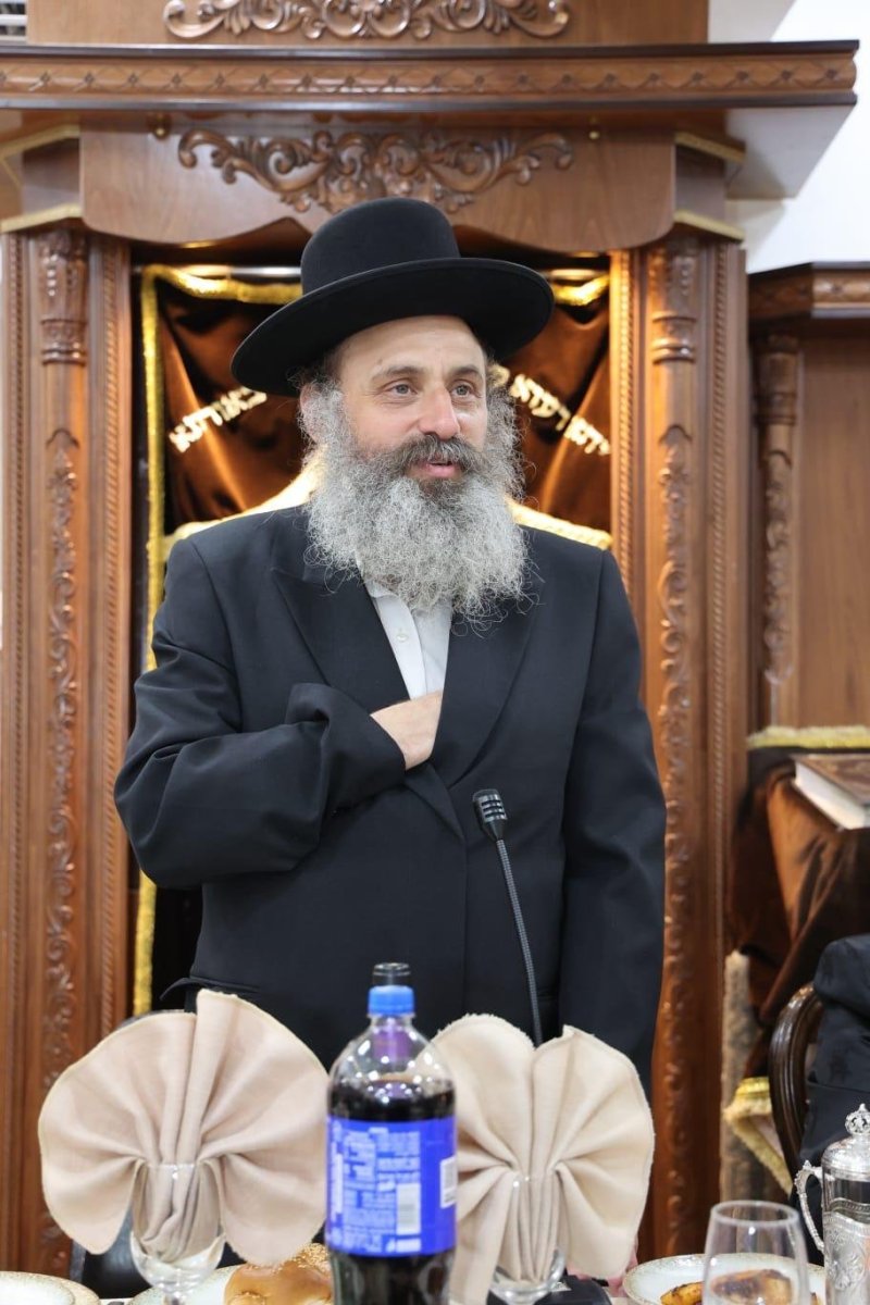 שלומי טריכטר