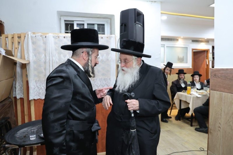 שלומי טריכטר