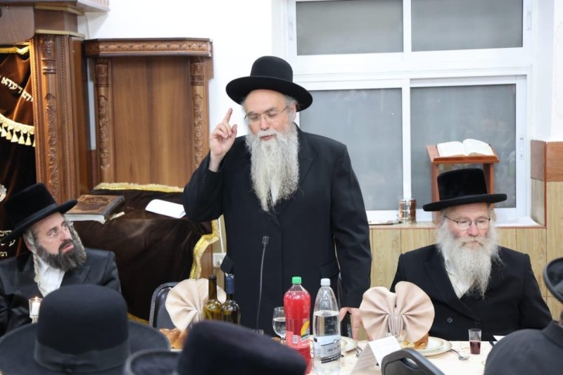 שלומי טריכטר