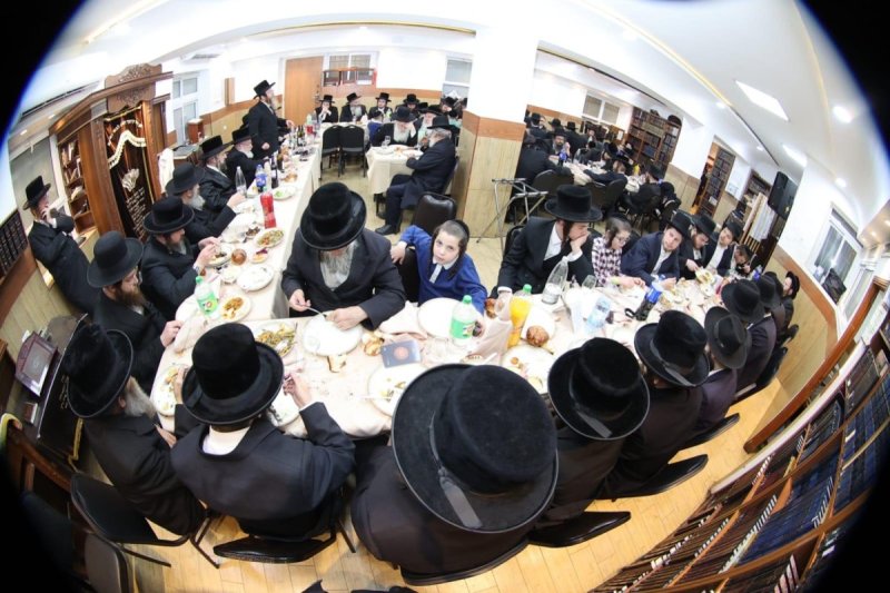 שלומי טריכטר