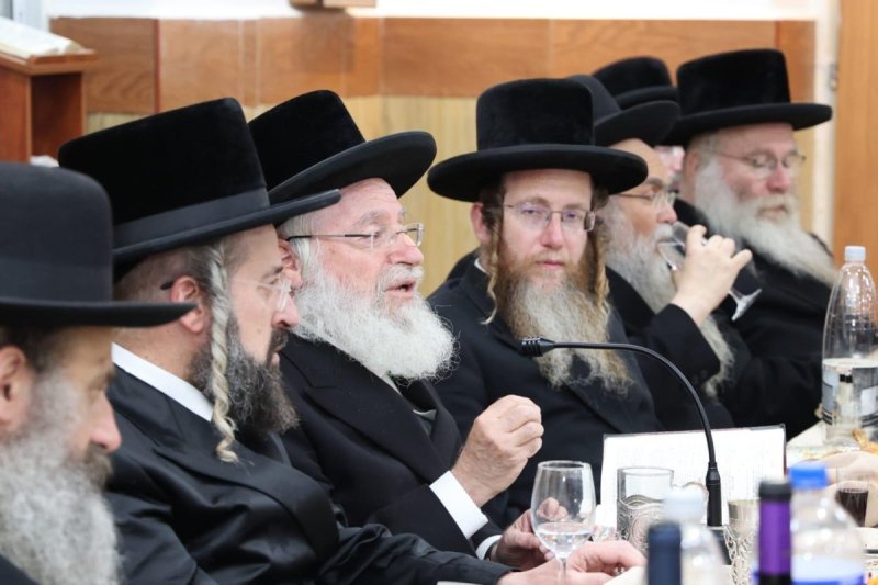 שלומי טריכטר