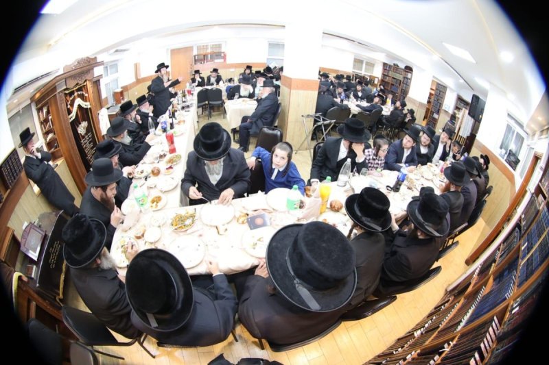 שלומי טריכטר