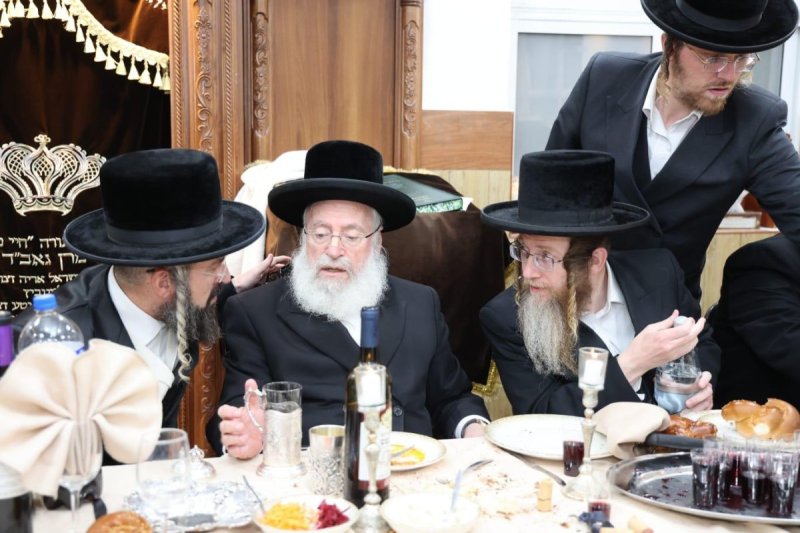 שלומי טריכטר