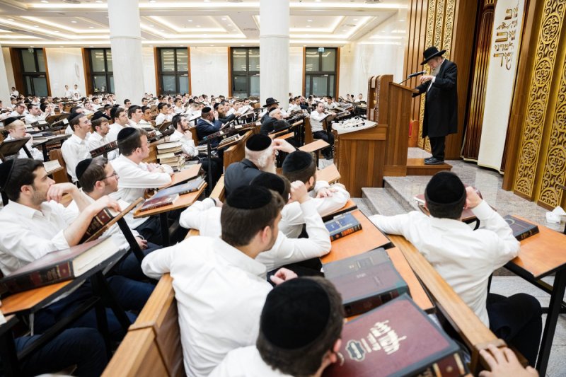 אלחנן קוטלר