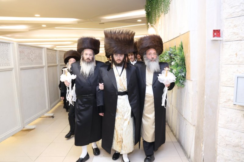 דוד ארזני