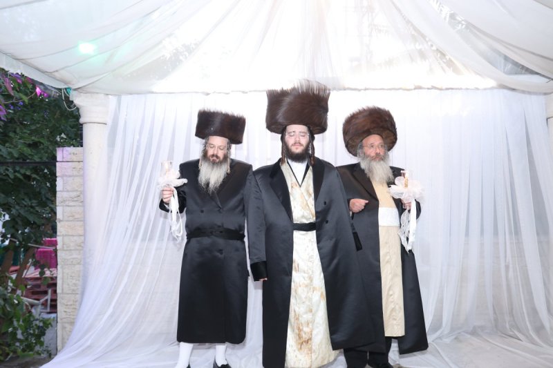 דוד ארזני