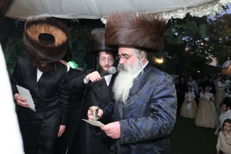 דוד ארזני