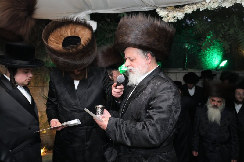 דוד ארזני