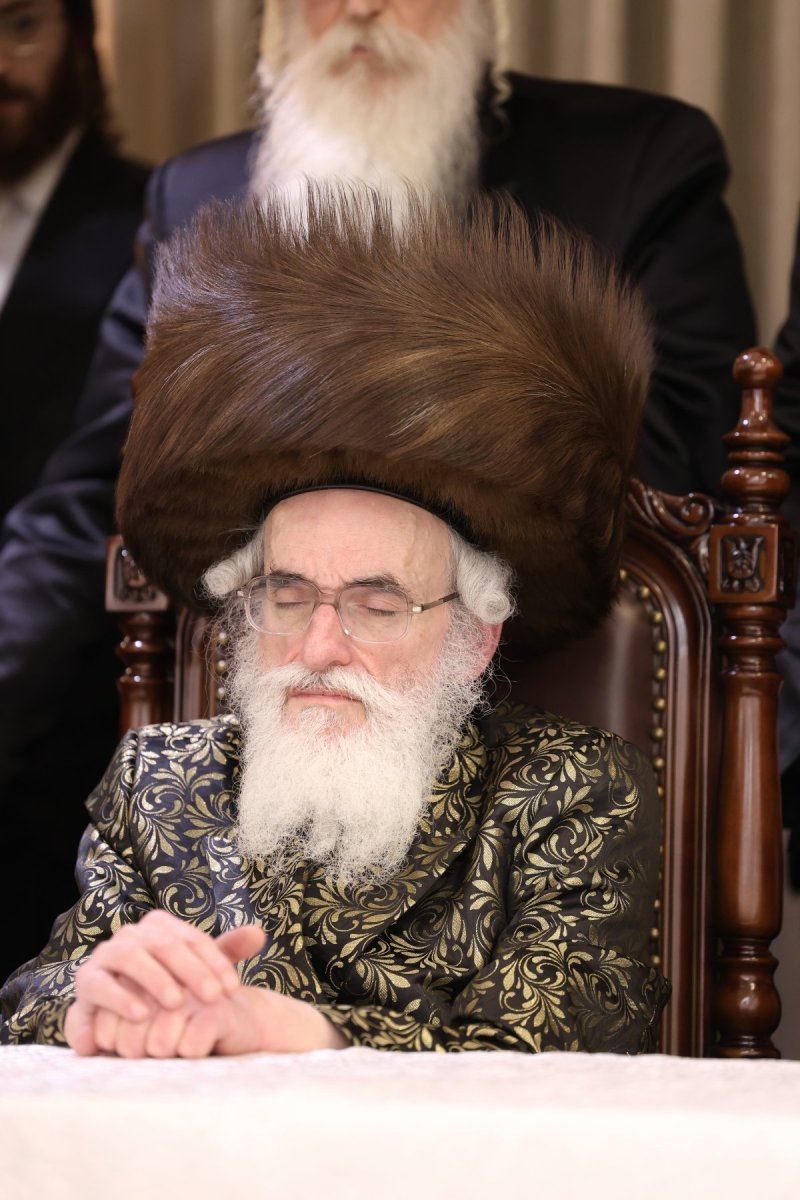 דוד ארזני