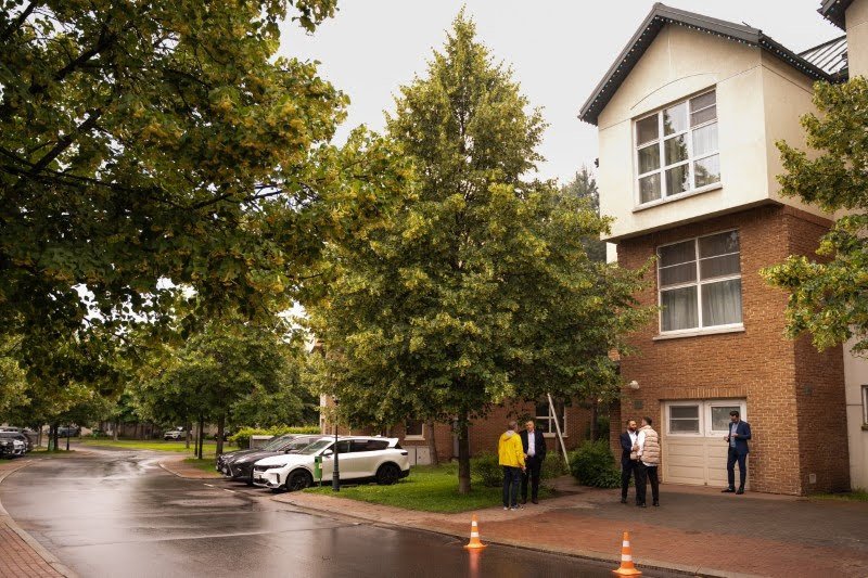 לסין אלכסנדר