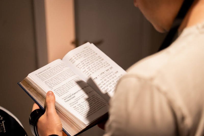 לסין אלכסנדר