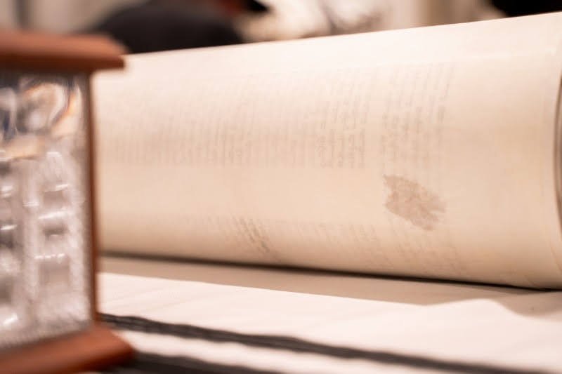 לסין אלכסנדר