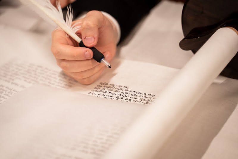 לסין אלכסנדר