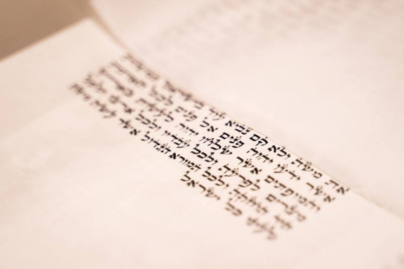 לסין אלכסנדר