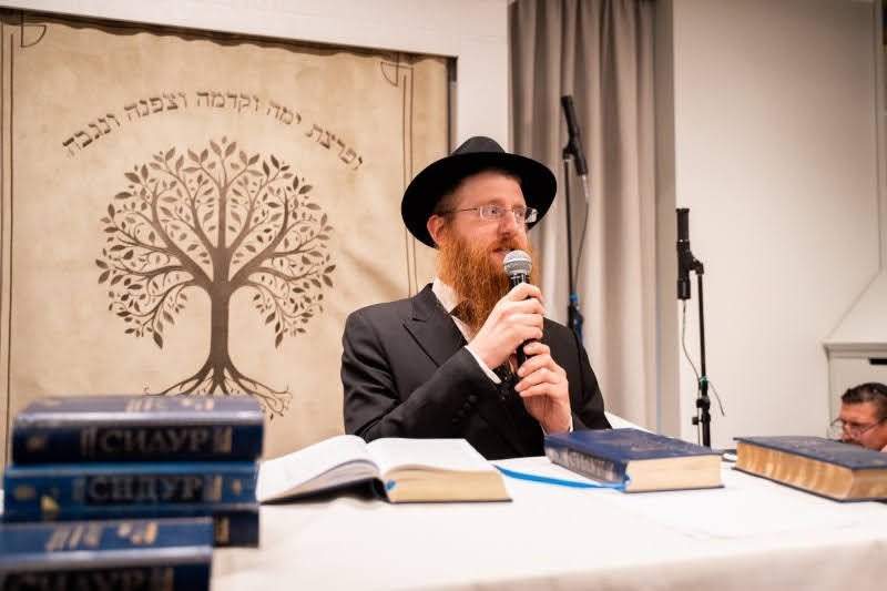 לסין אלכסנדר