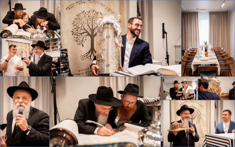 לסין אלכסנדר