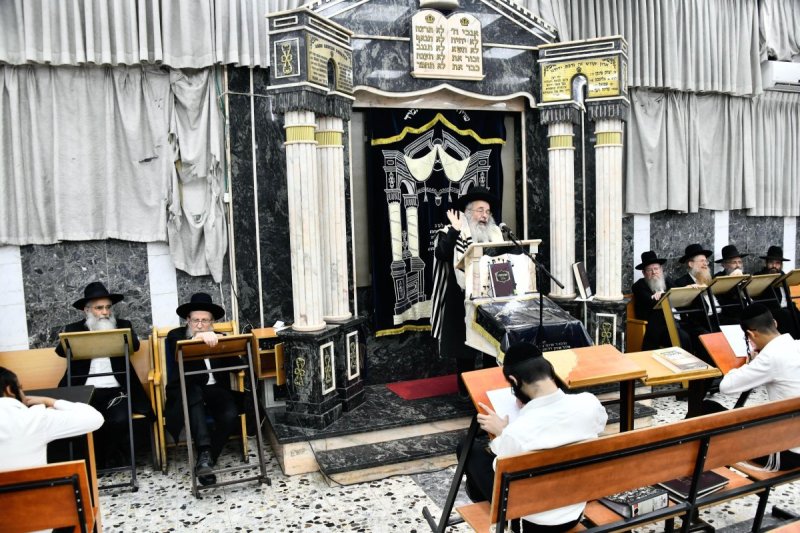 שוקי לרר