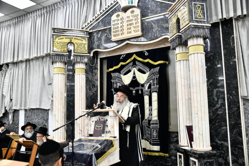 שוקי לרר