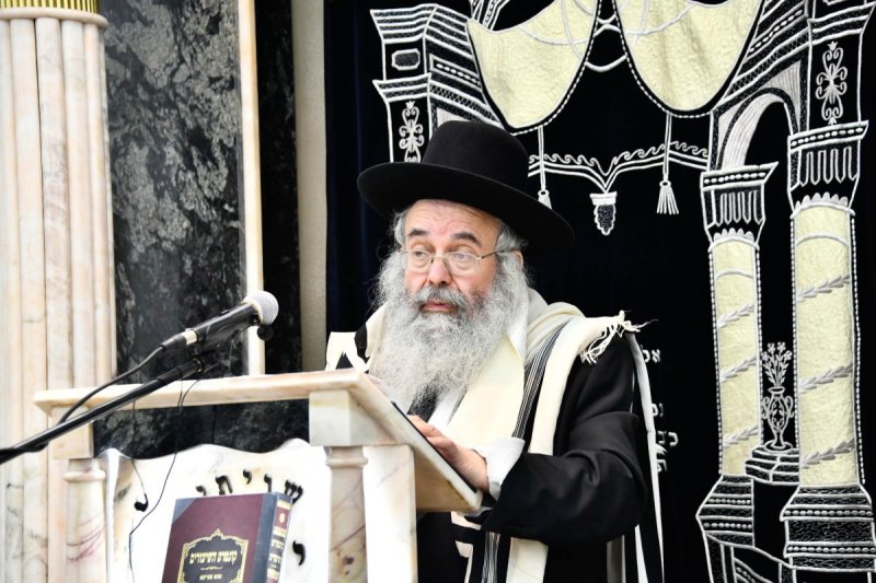 שוקי לרר