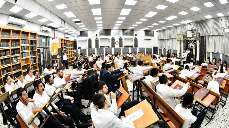 שוקי לרר