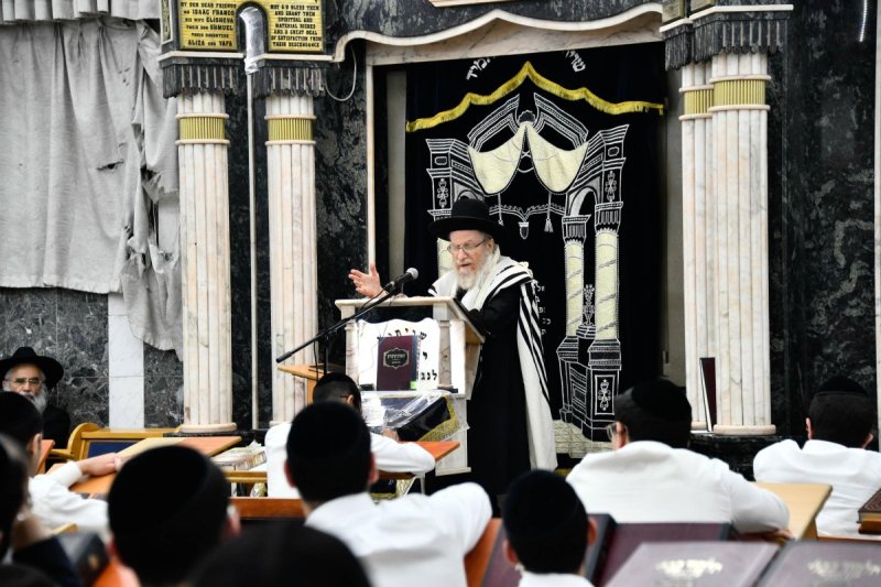 שוקי לרר