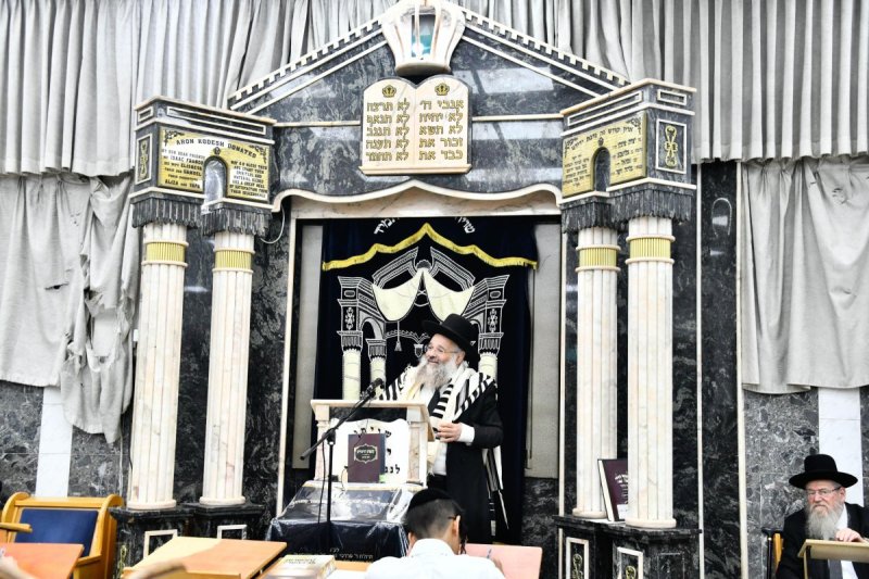 שוקי לרר