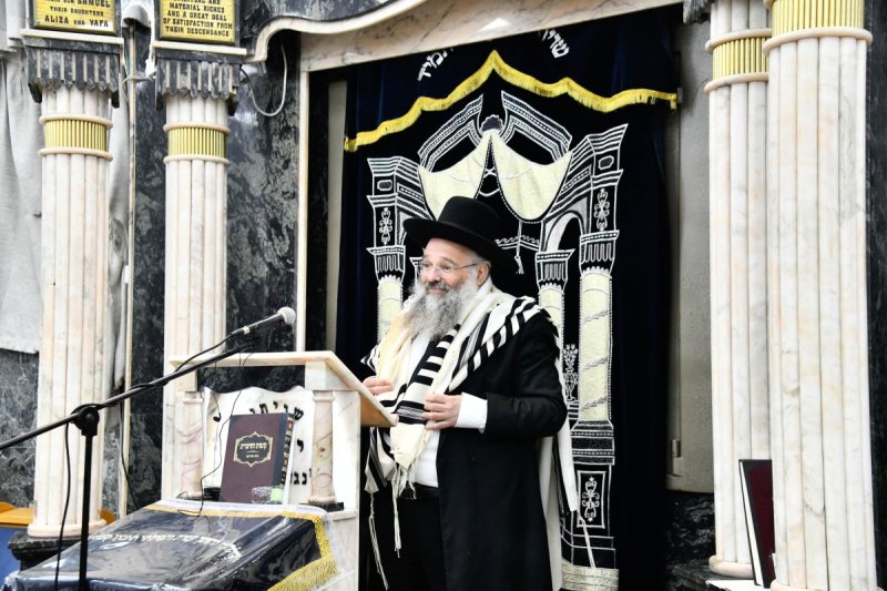 שוקי לרר