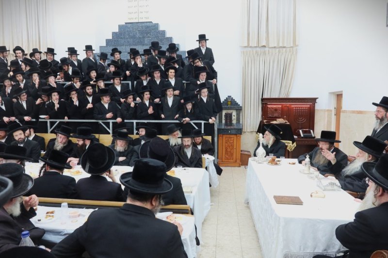 שימי פ.