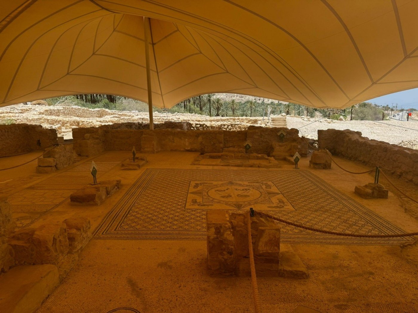 שלומית שביט, רשות הטבע והגנים