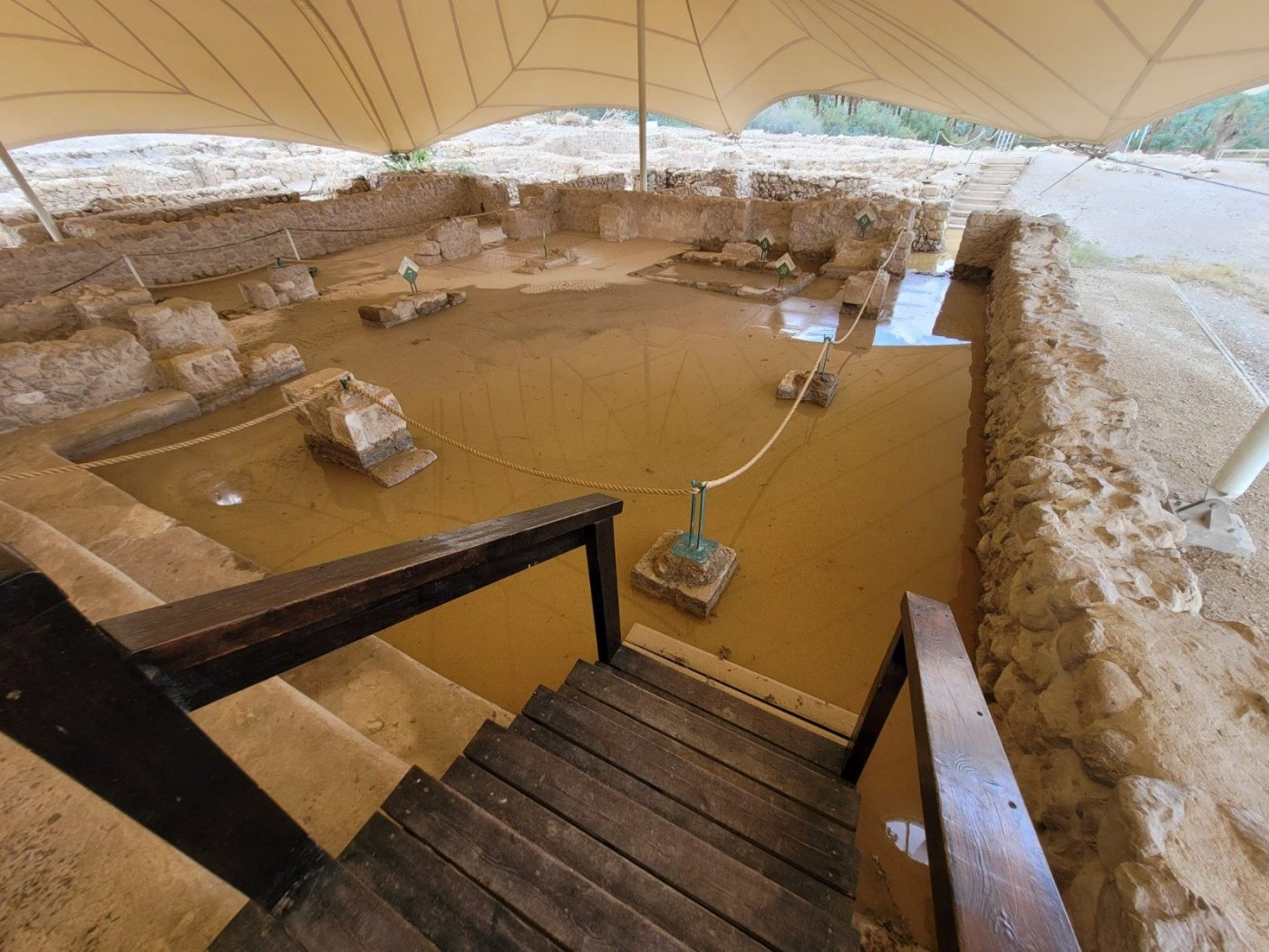 רובי מיאל, רשות הטבע והגנים