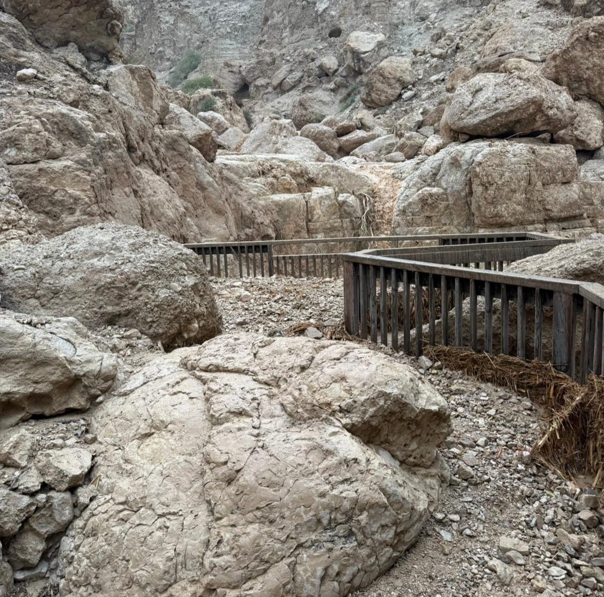 רשות הטבע והגנים