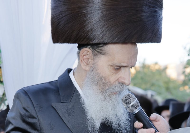 א.ה וב. מיכאלי