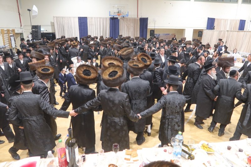 א.ה וב. מיכאלי