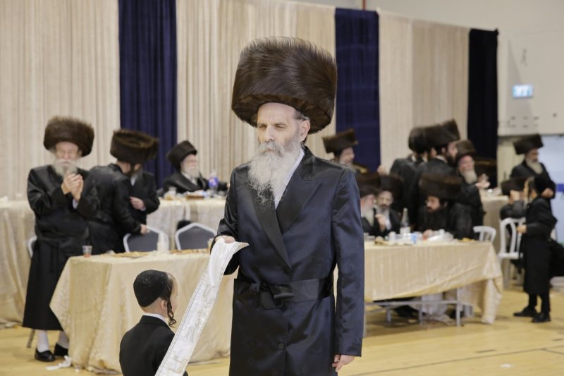 א.ה וב. מיכאלי