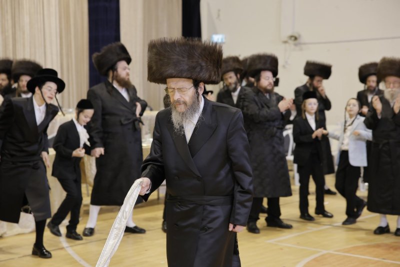 א.ה וב. מיכאלי
