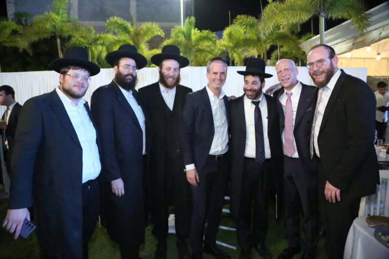 דוד קשת