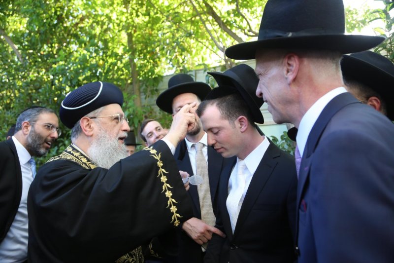 דוד קשת